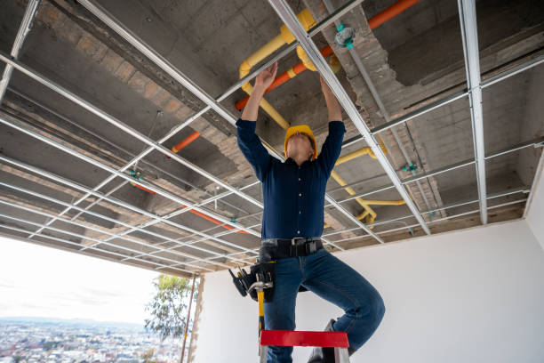 Best Plumbing Services Near Me  in Camdenton, MO