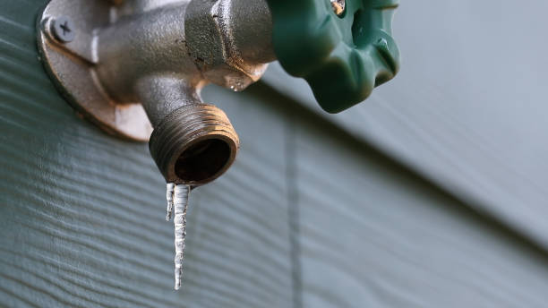 Best Plumbing Inspection Services  in Camdenton, MO